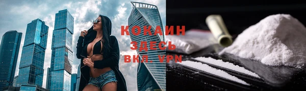 прущие крисы Арсеньев