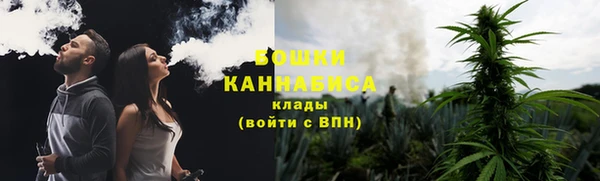 прущие крисы Арсеньев
