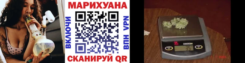 Канабис сатива  Бакал 